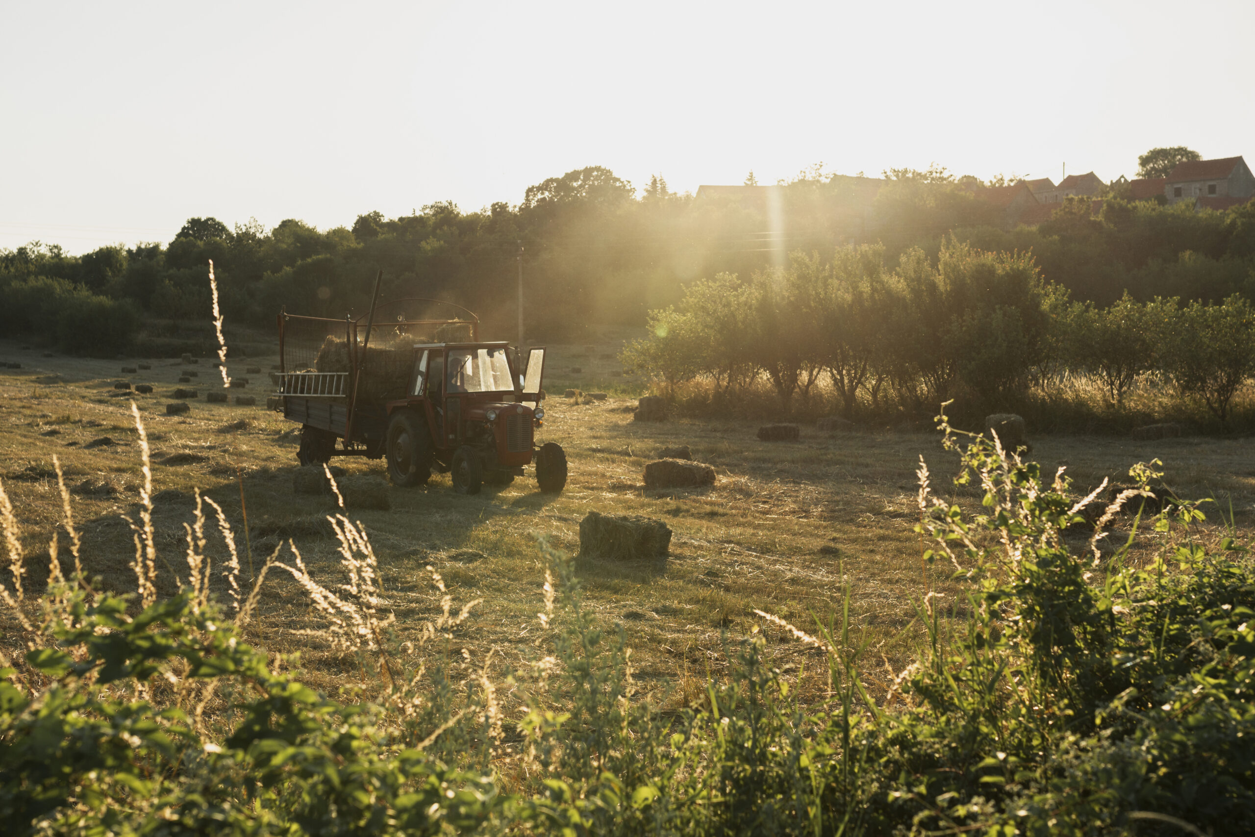 travaux-agricoles-var-aes-services-environnement-flayol