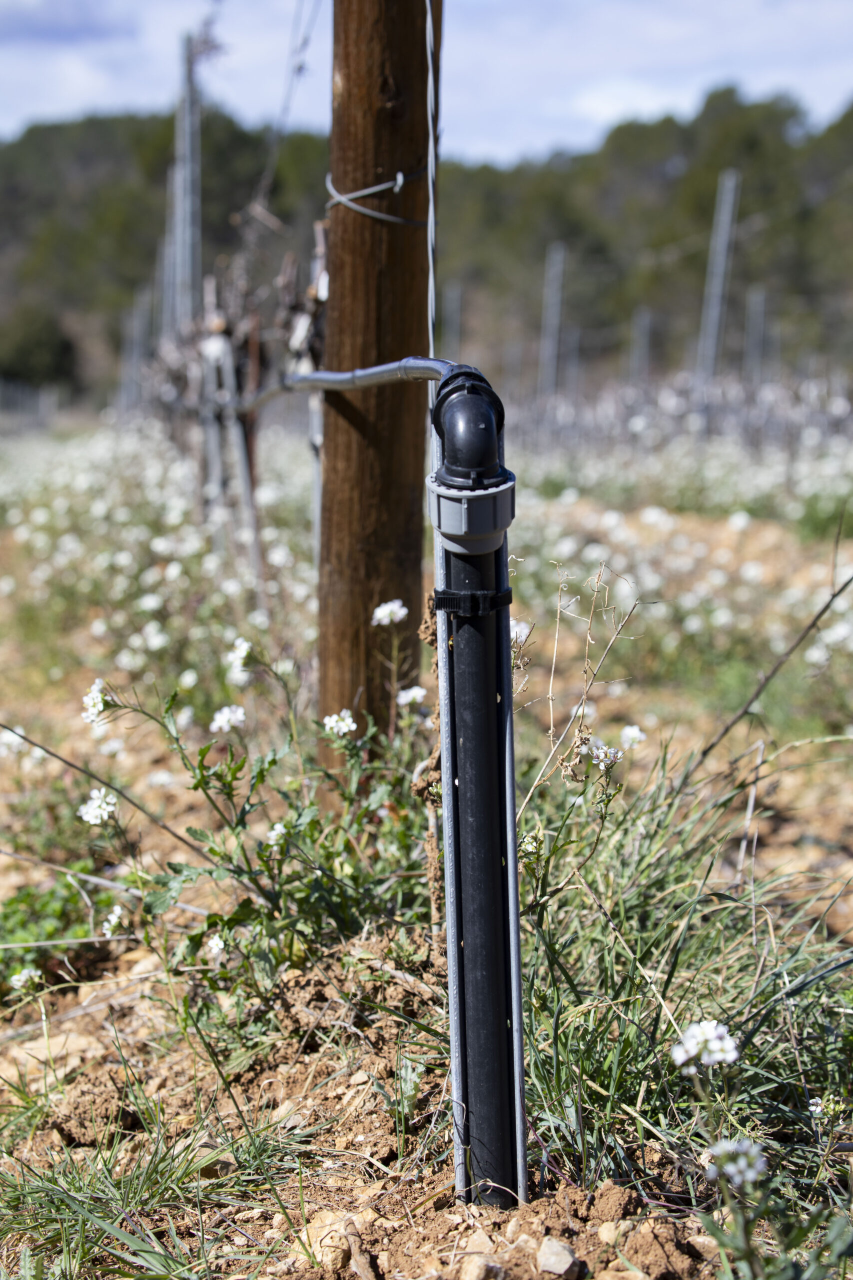 Travaux agricoles _ Irrigation