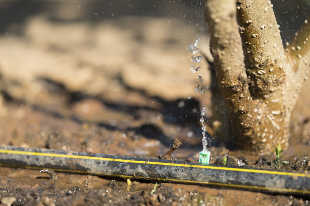 aes-agriculture-services-environnement-var-travaux-agricoles